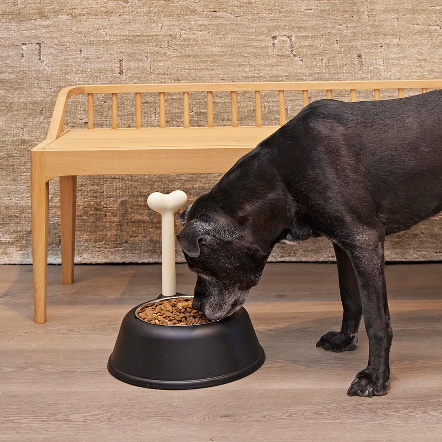 Lupita Dog Bowl for Medium or Large Dogs